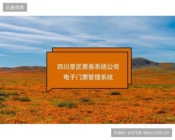 体育赛事运营服务正由单一执行转向全周期管理，票务与医疗联动成为标准配置